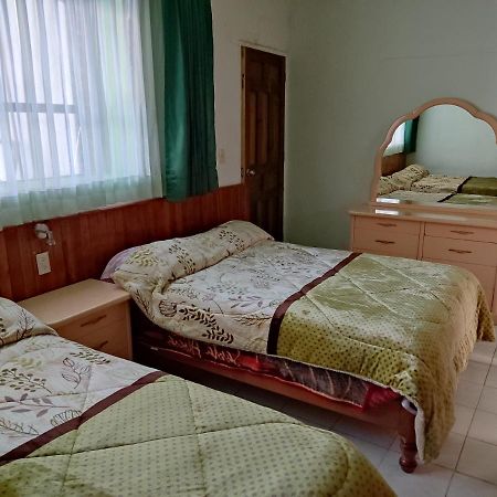 San Cristóbal de Las Casas Hotel Alexandria מראה חיצוני תמונה